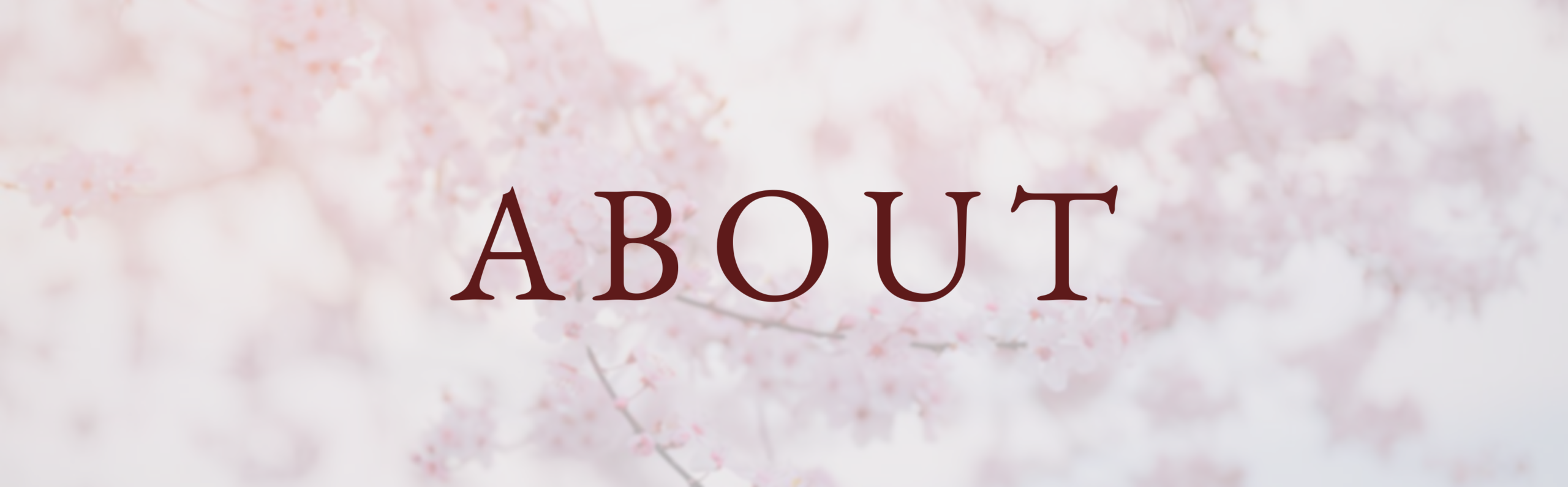 banner-about