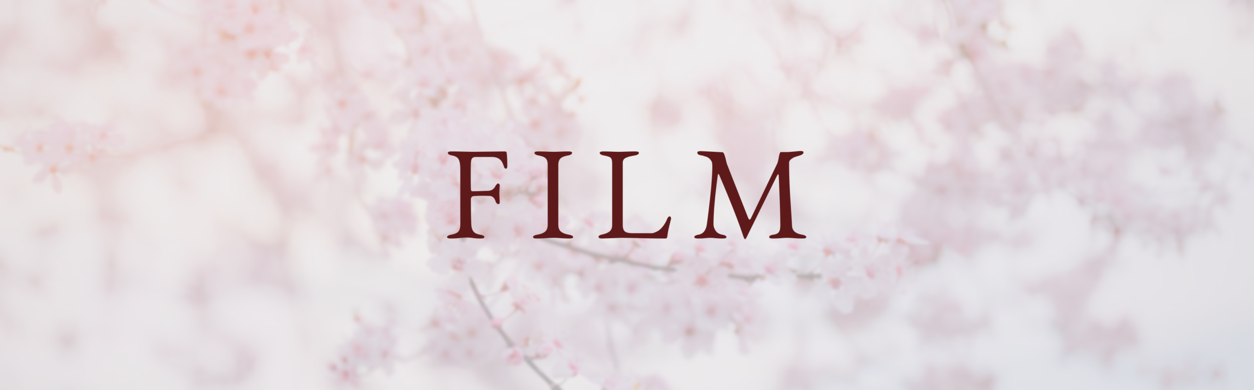 banner-film