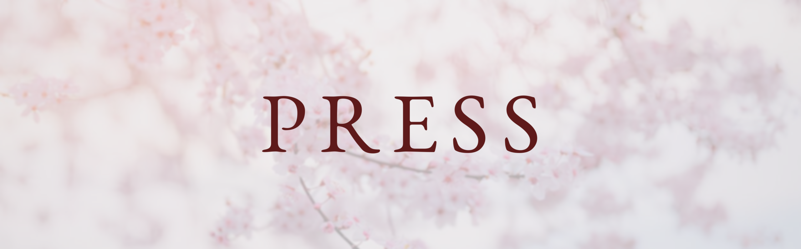 banner-press