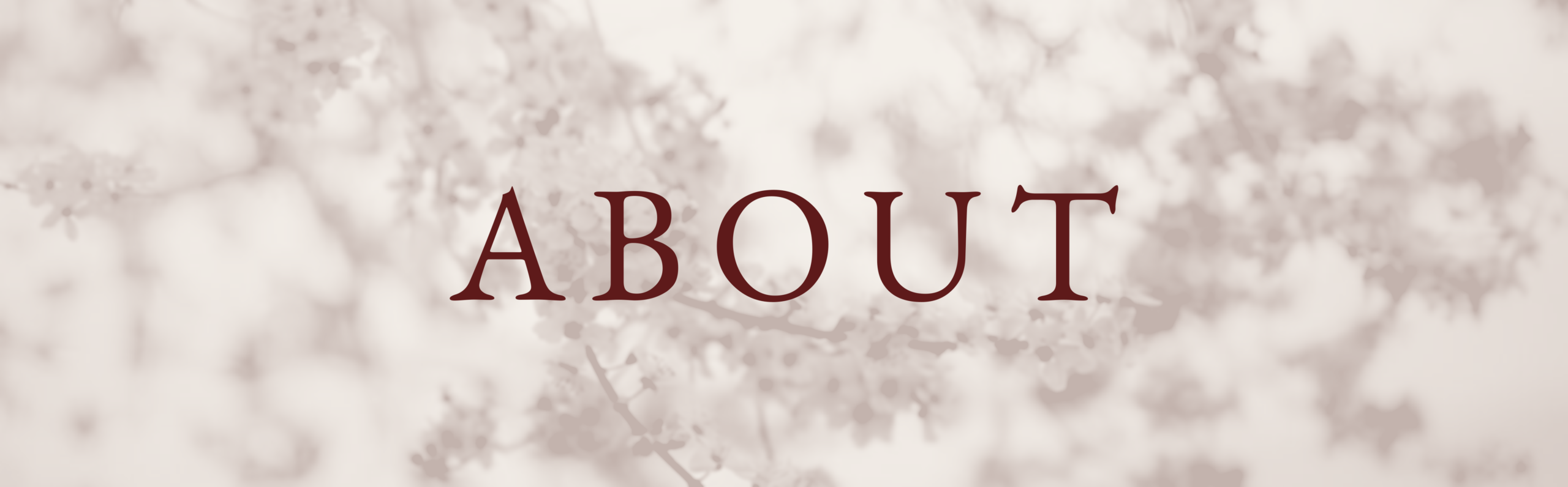 header-about