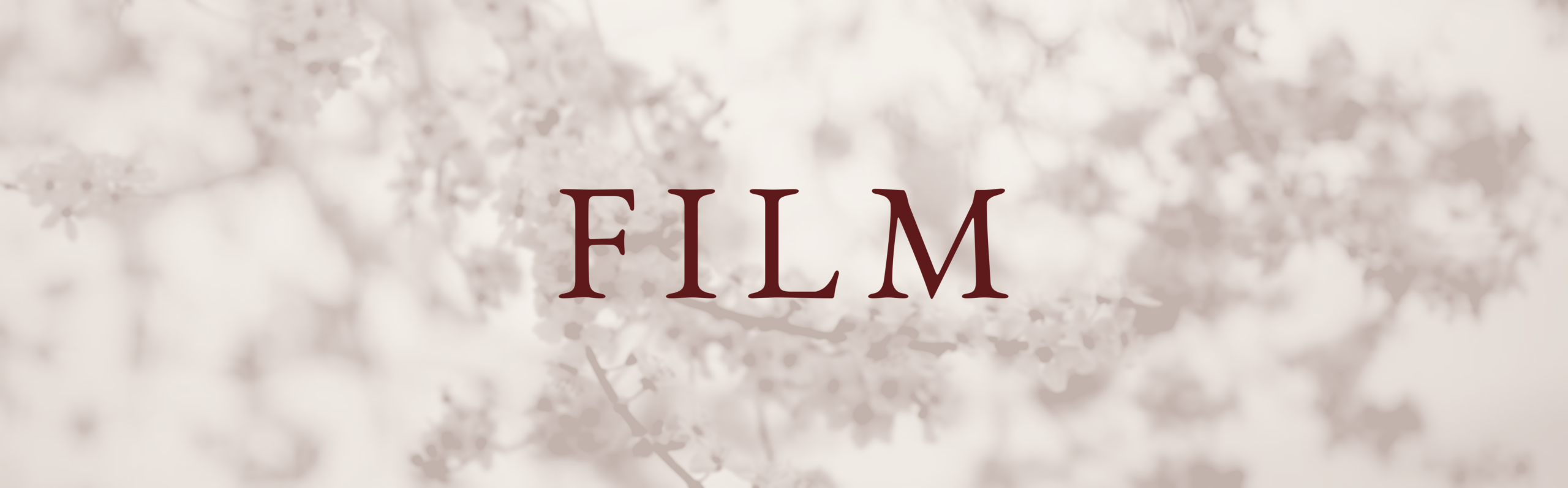 header-film