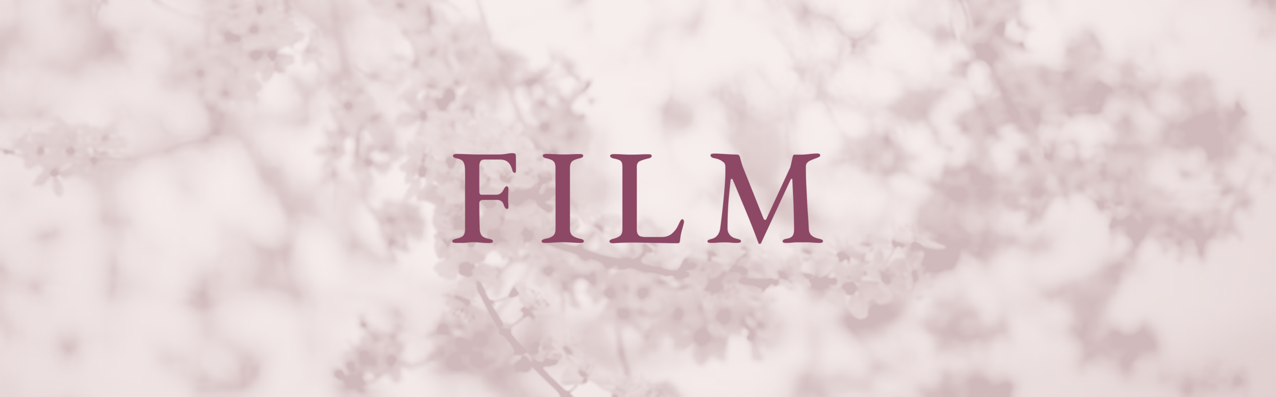 header-film_1